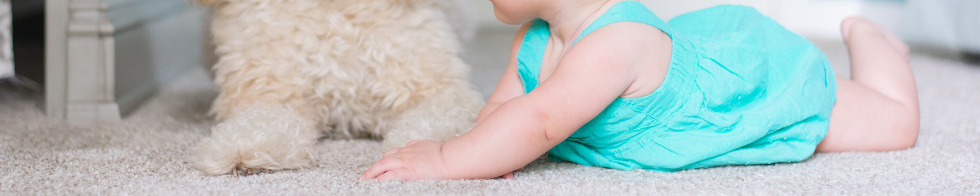 baby and dog on carpet